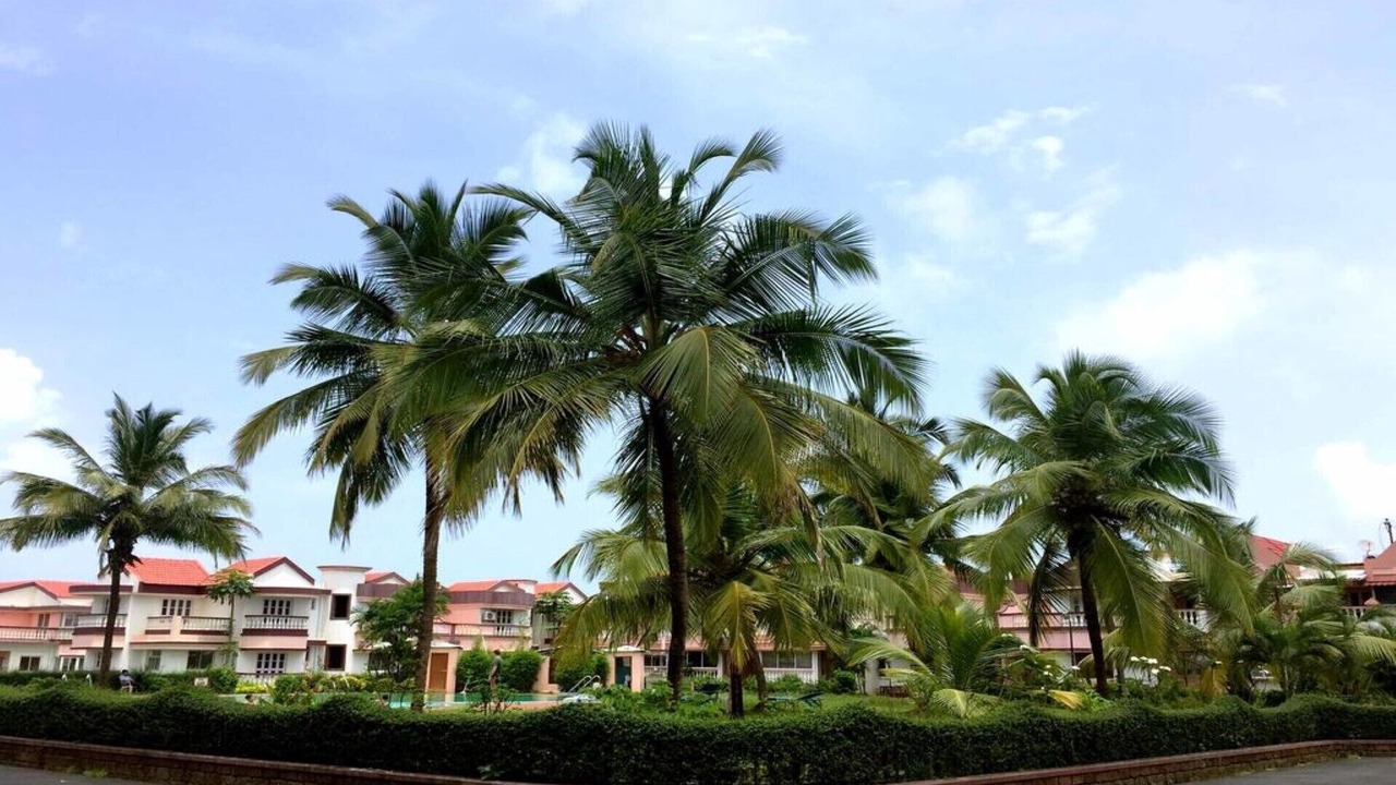 Photo of Outdoor in Benaulim