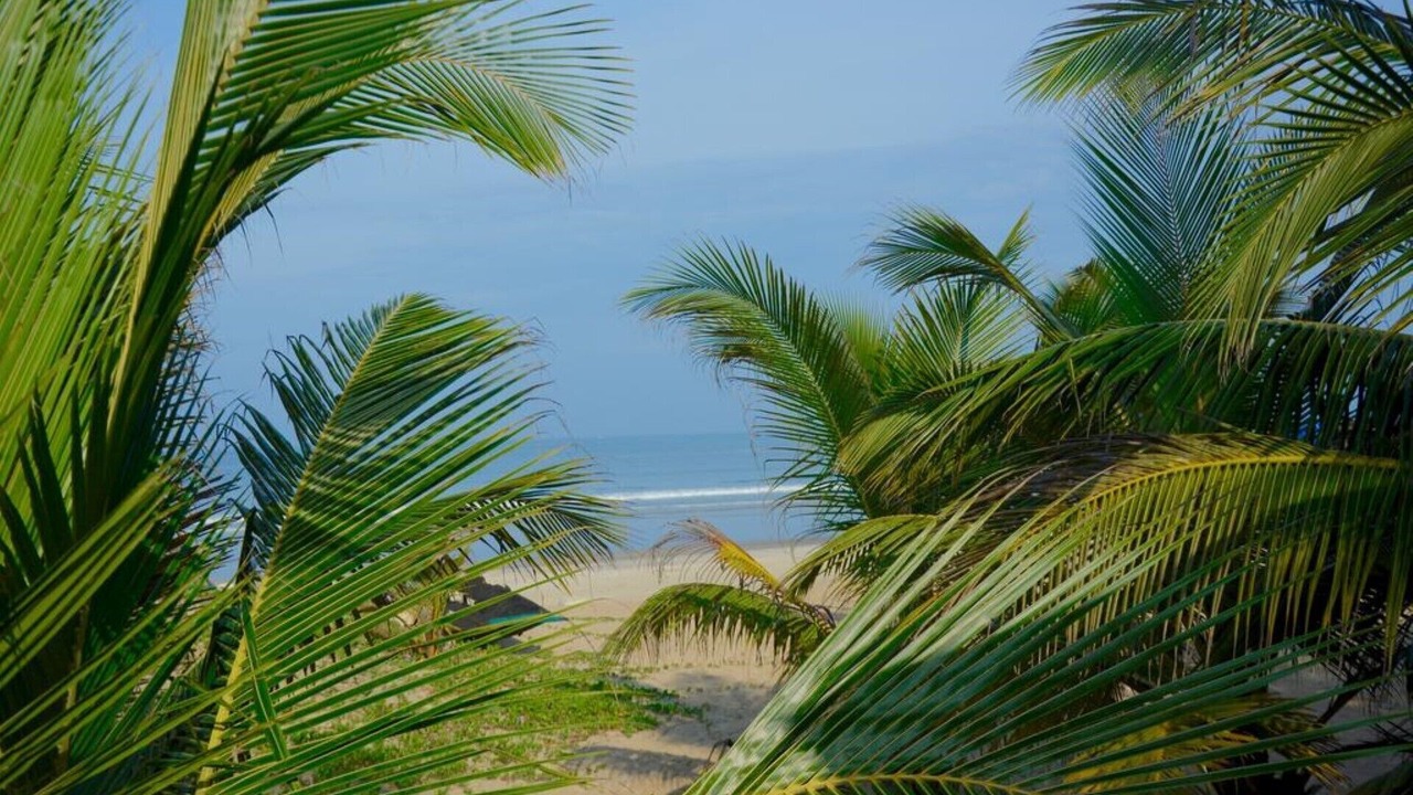 Photo of Outdoor in Benaulim