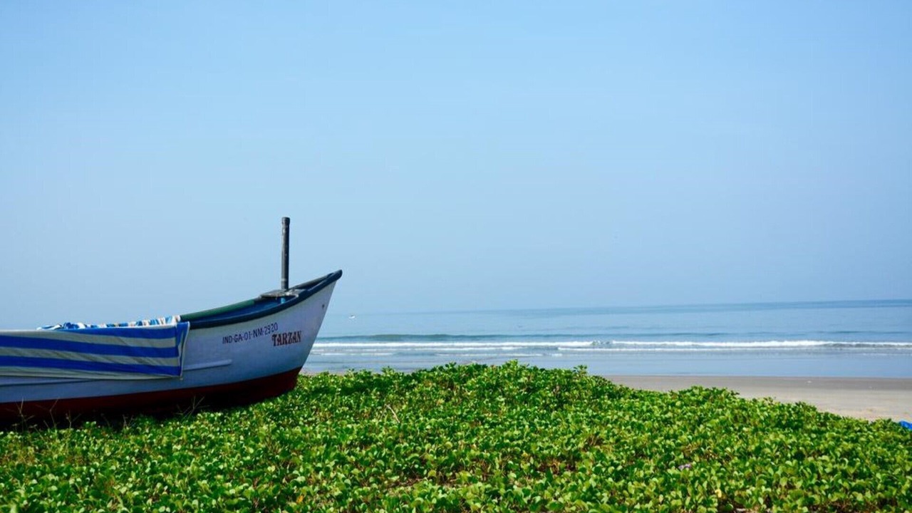 Photo of Others in Benaulim