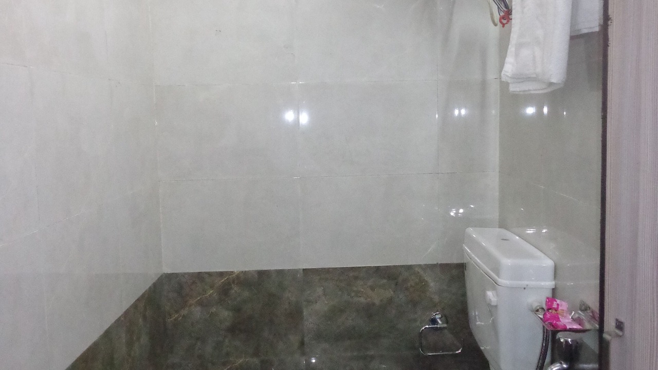 Photo of Bathroom in Nizamuddin East