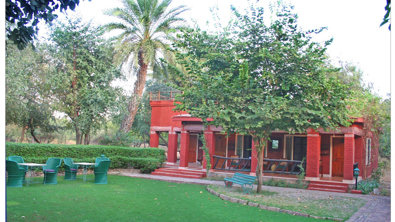 Photo of Outdoor in Desuri