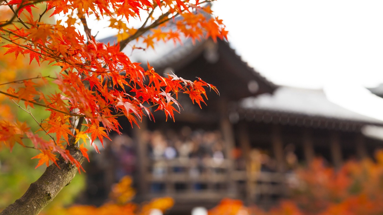 Photo of Others in Fushimi
