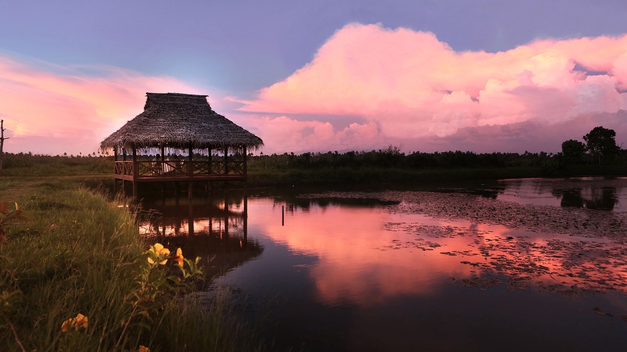Photo of Others in Kumarakom