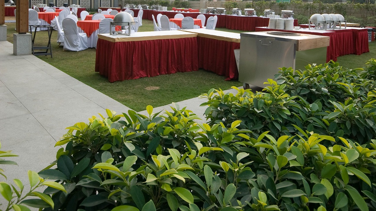 Photo of Outdoor in Durgapura