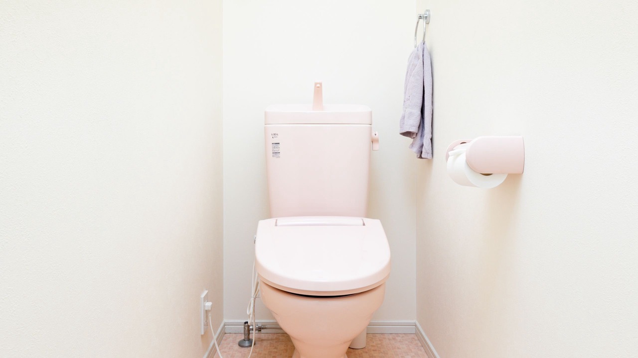 Photo of Bathroom in Fukushima