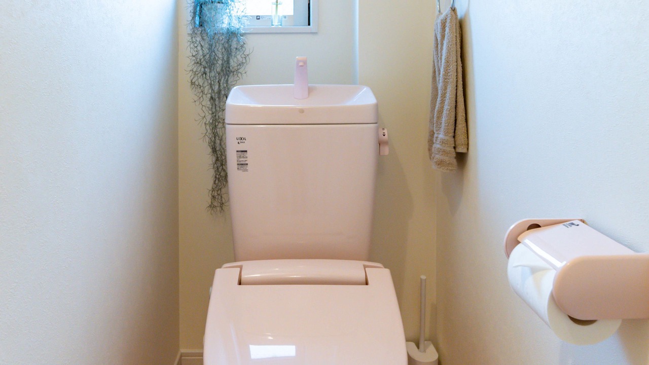 Photo of Bathroom in Fukushima
