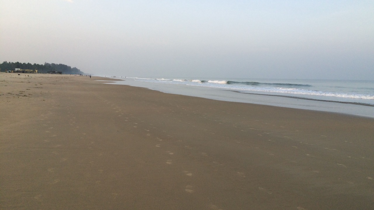 Photo of Others in Majorda
