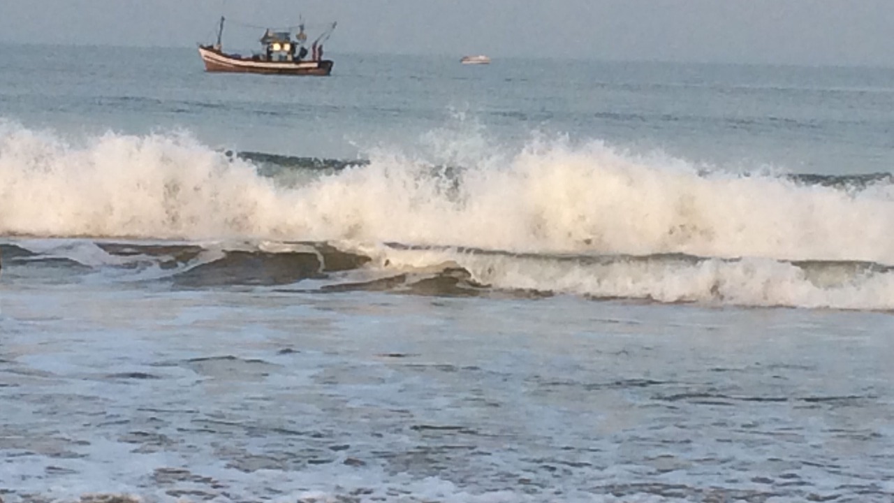Photo of Others in Majorda