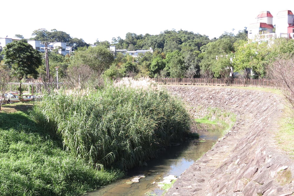 Photo of Others in Xizhi District