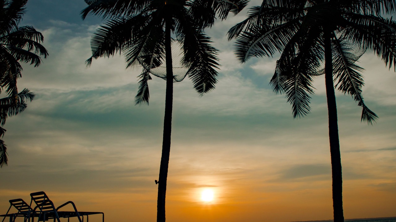 Photo of Outdoor in Kumarakom