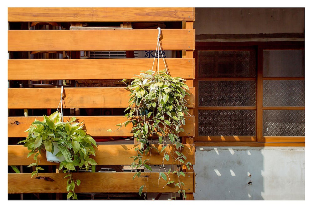 Photo of Outdoor in Fengshan District