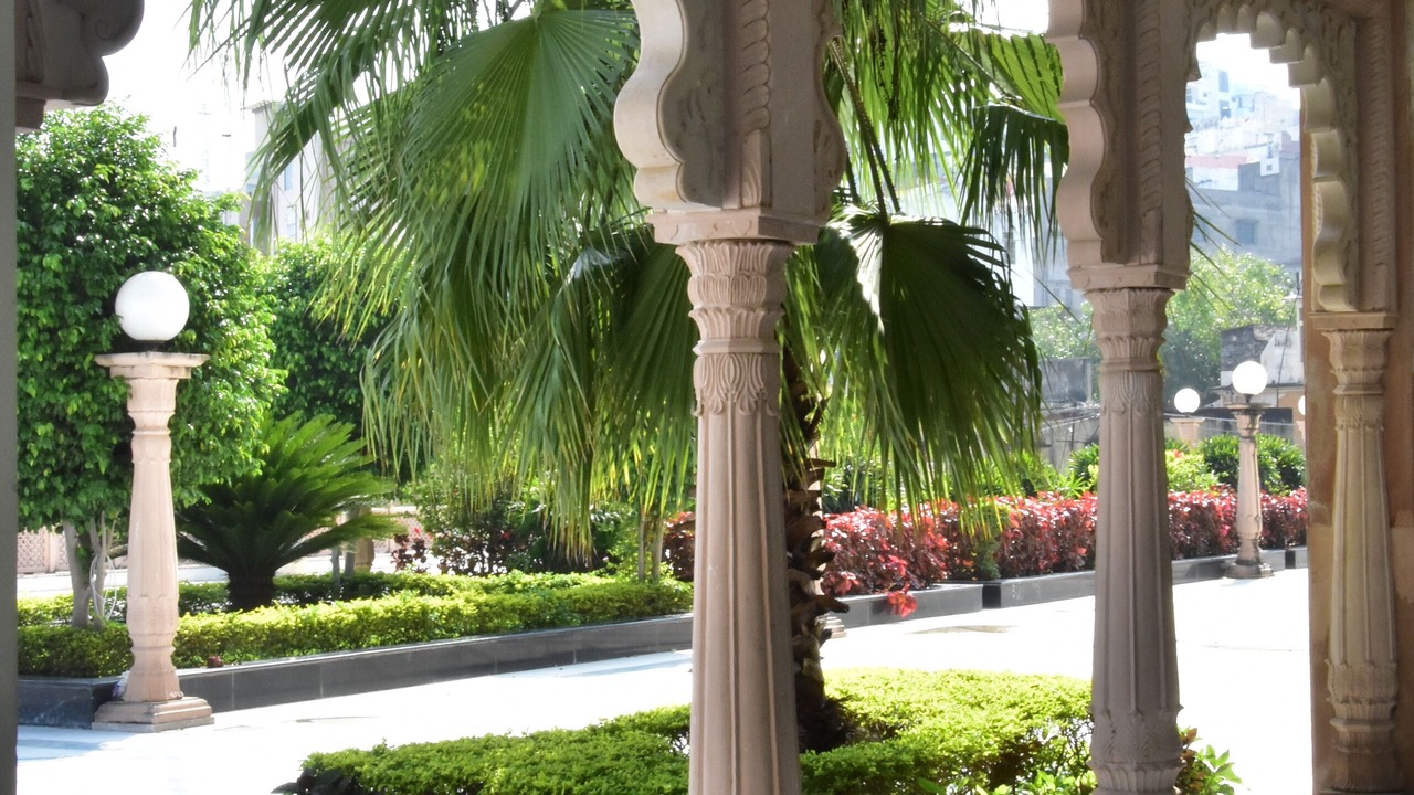 Photo of Outdoor in Nathdwara