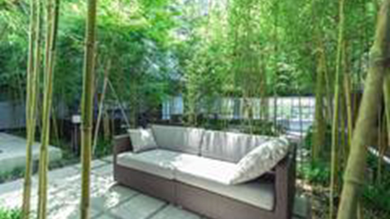 Photo of Outdoor in Shiomi