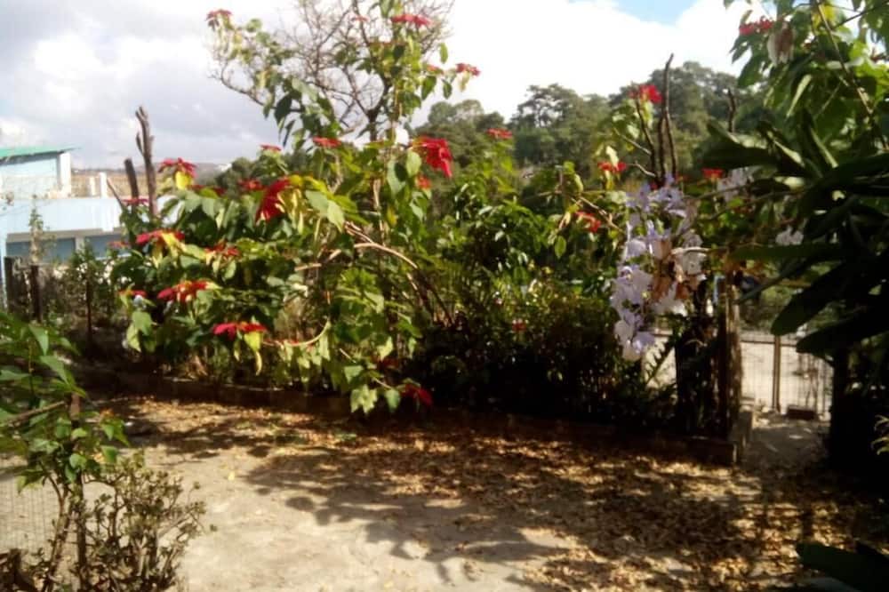 Photo of Outdoor in Laitumkhrah