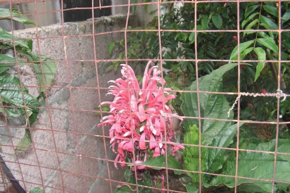 Photo of Outdoor in Laitumkhrah