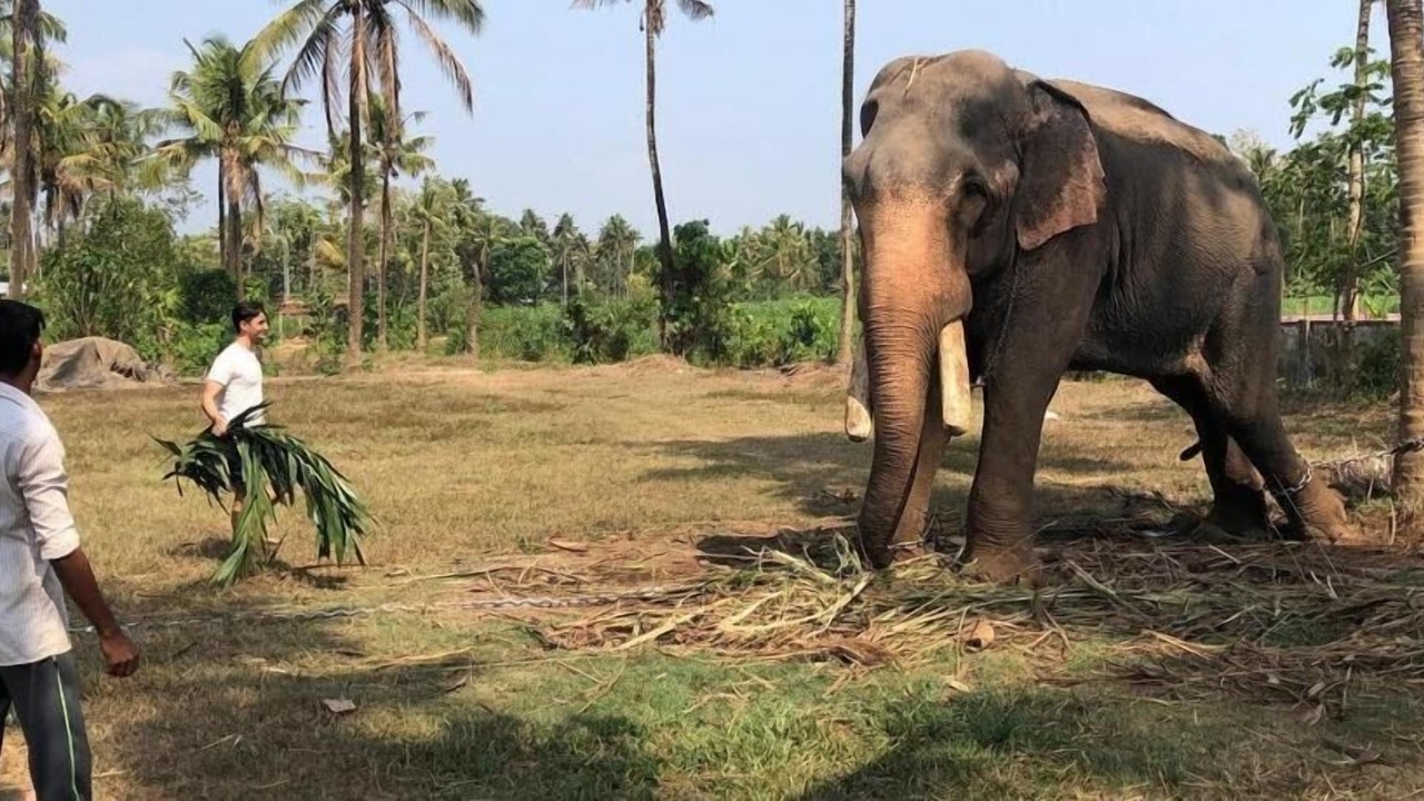 Photo of Outdoor in Irinjalakuda