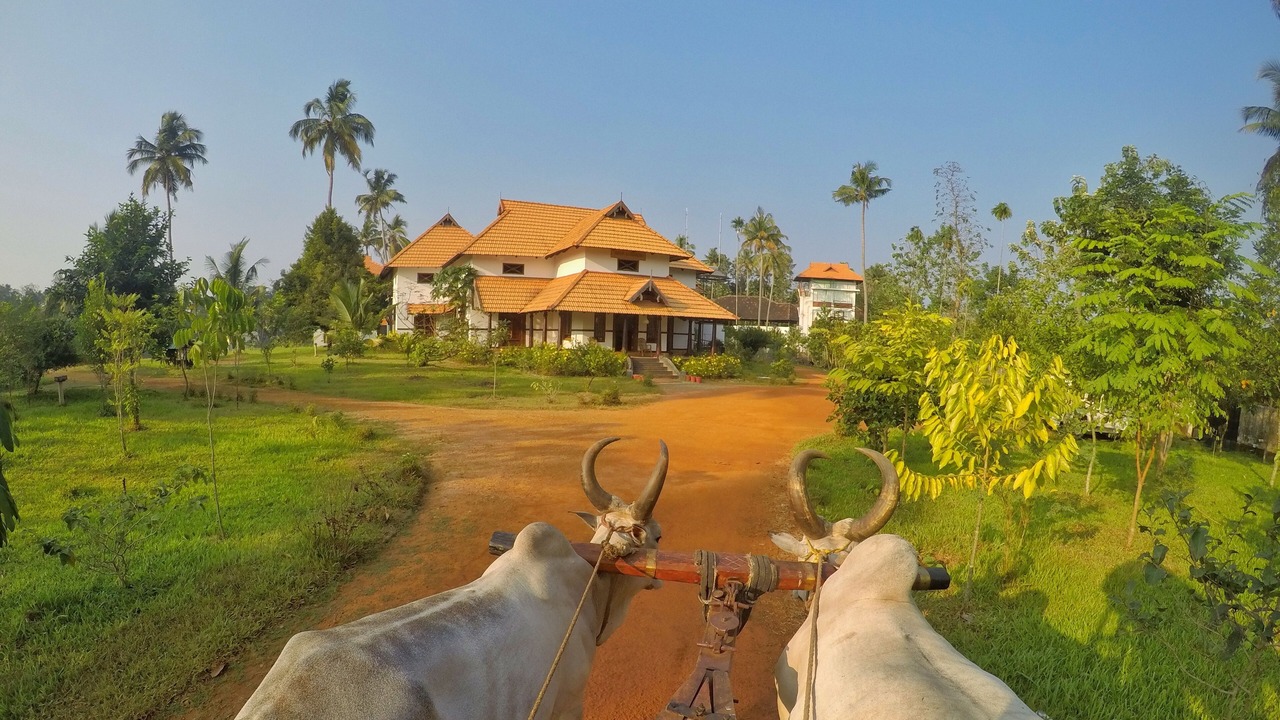 Photo of Outdoor in Irinjalakuda