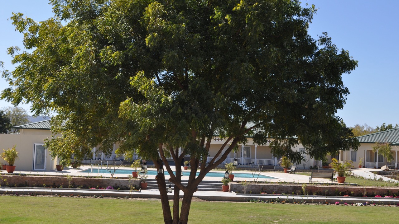 Photo of Outdoor in Sariska