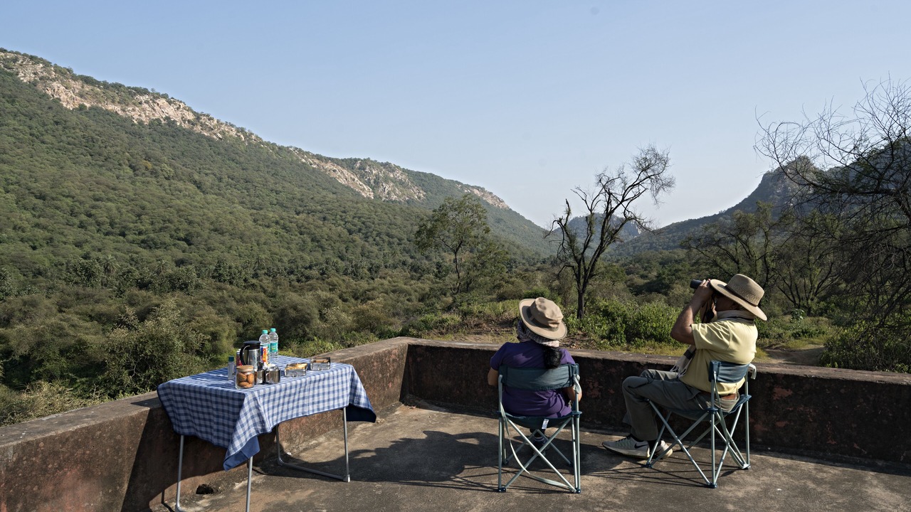 Photo of Others in Sariska