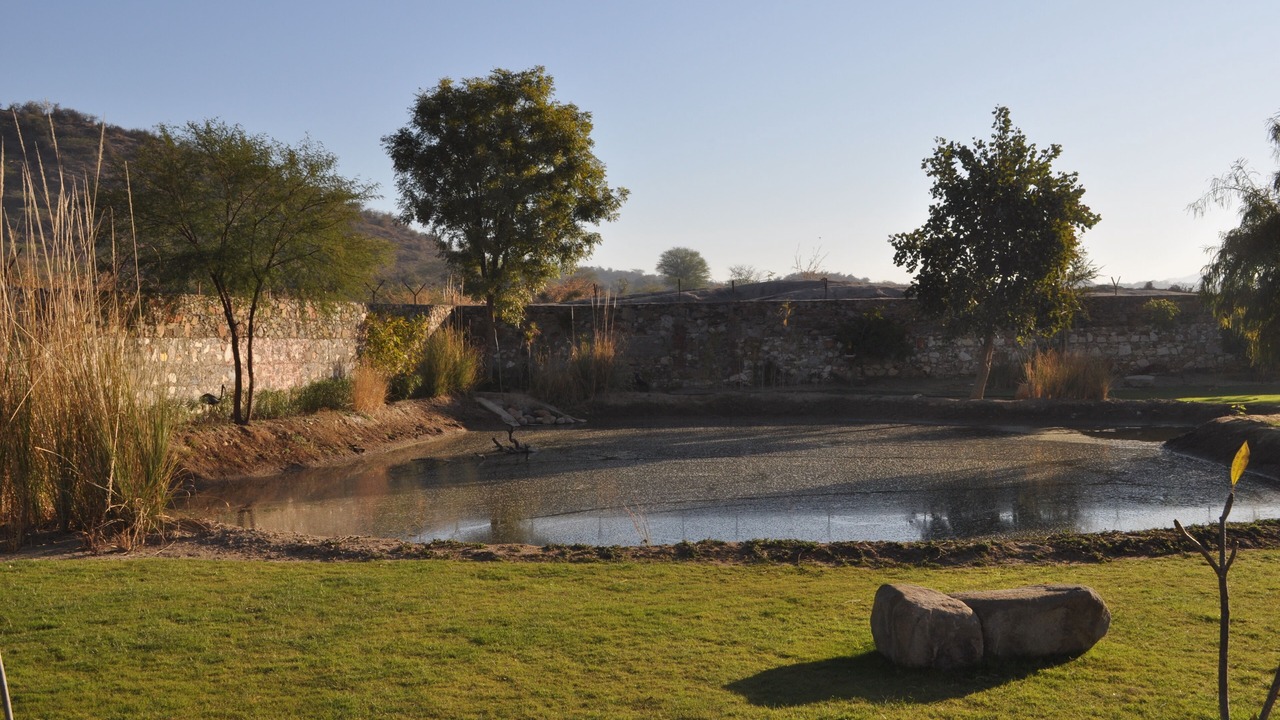 Photo of Others in Sariska