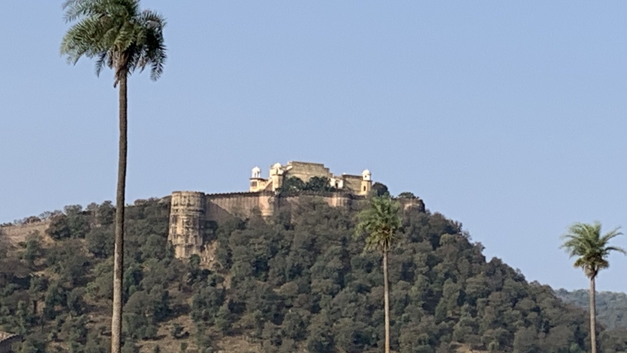 Photo of Others in Sariska