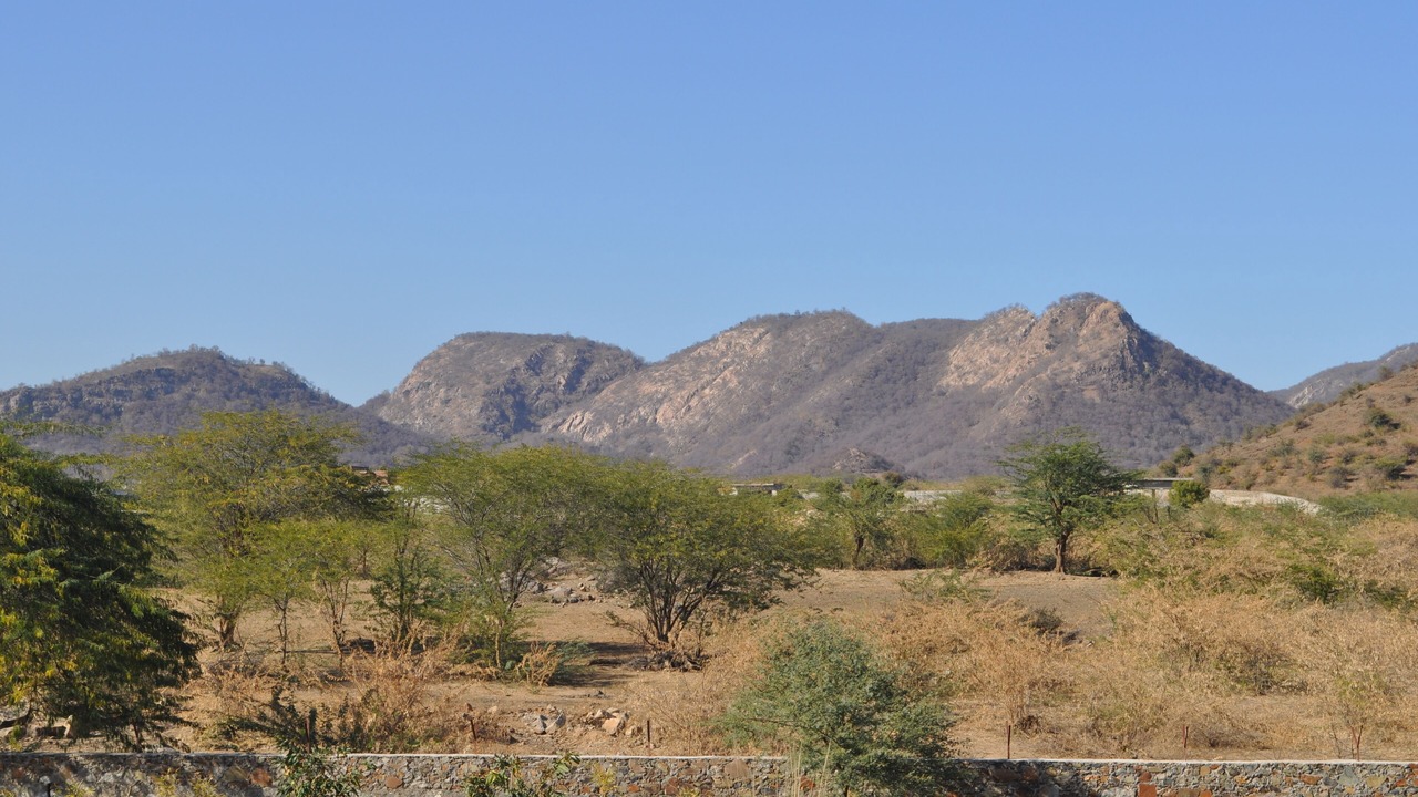 Photo of Outdoor in Sariska