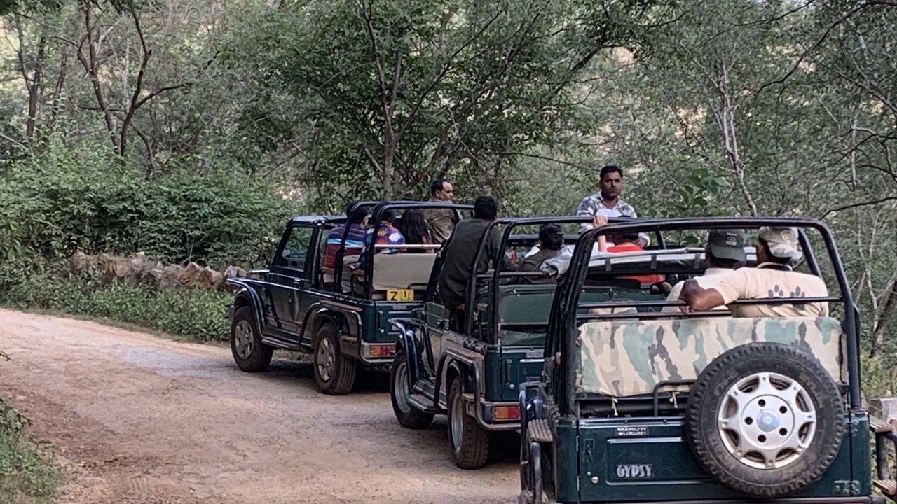 Photo of Others in Sariska