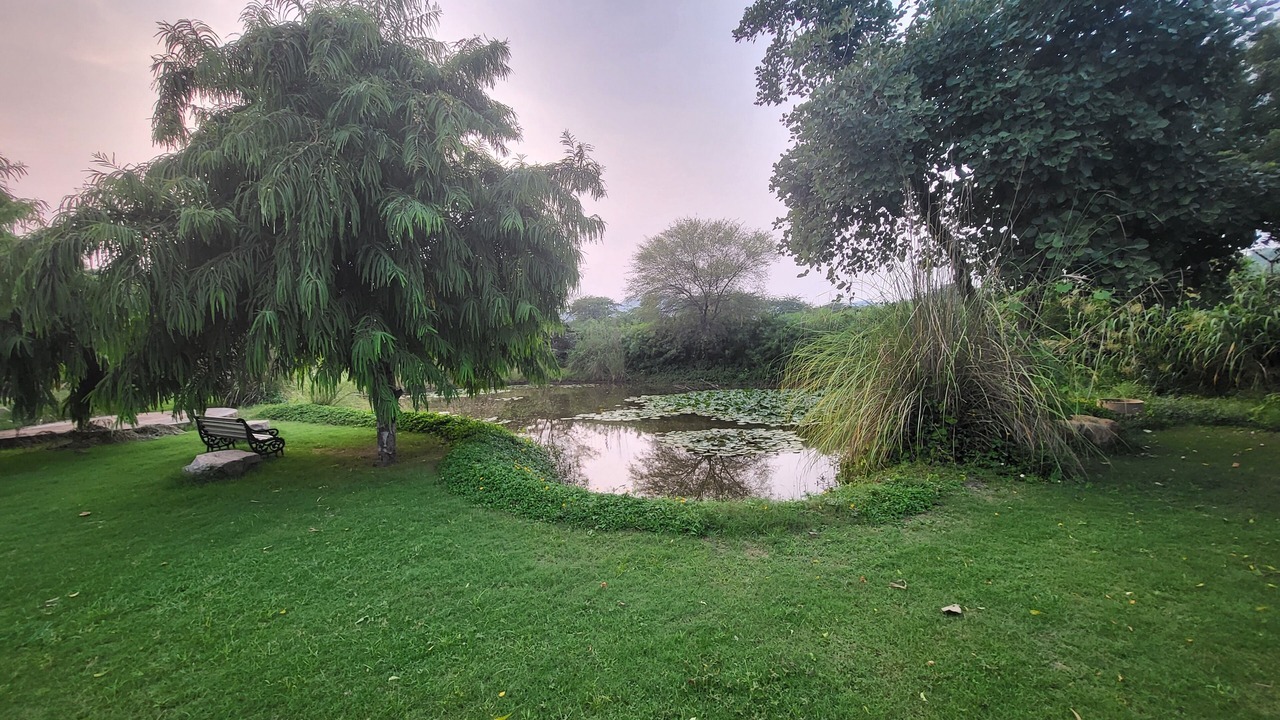 Photo of Outdoor in Sariska