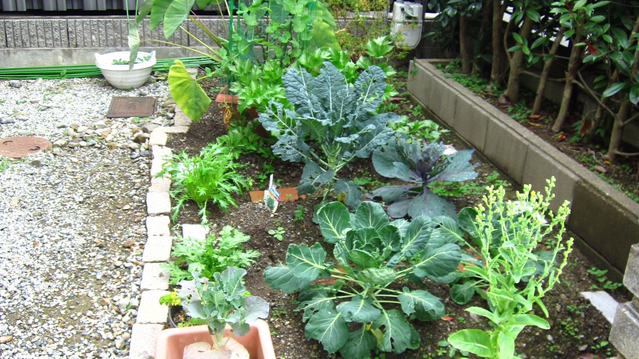 Photo of Outdoor in Sakyo Ward