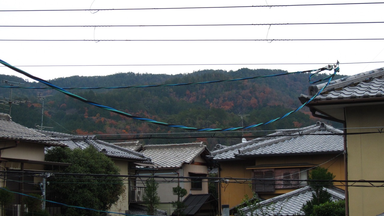 Photo of Others in Sakyo Ward