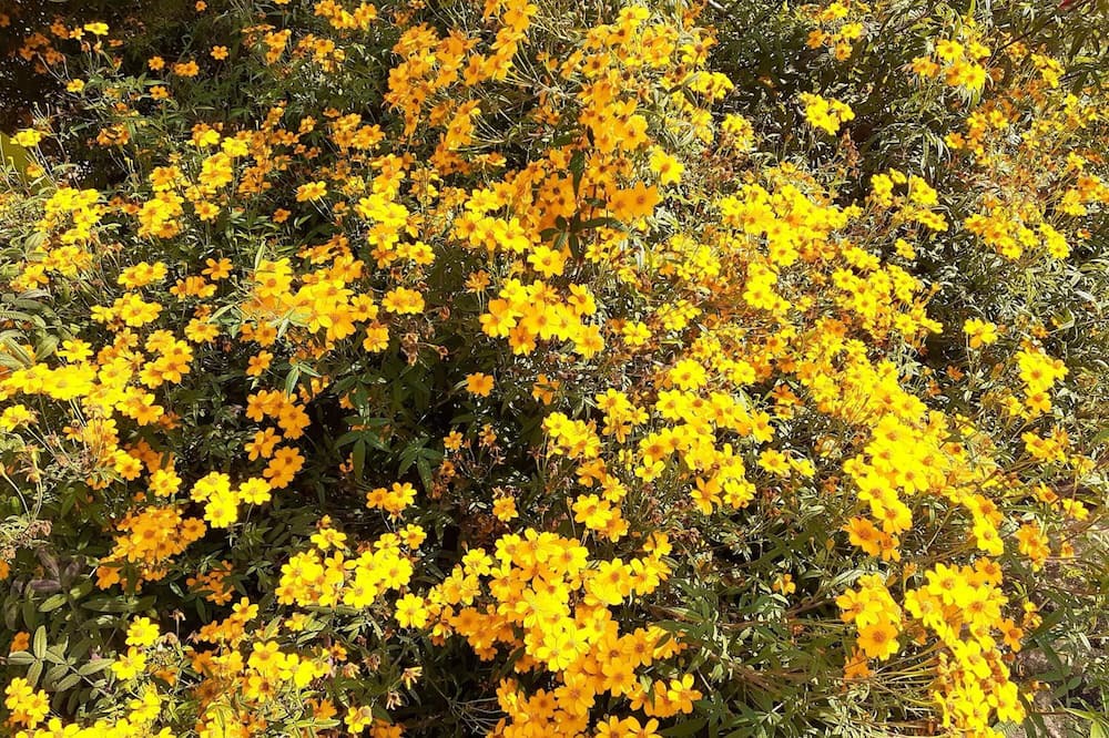 Photo of Outdoor in Gukeng
