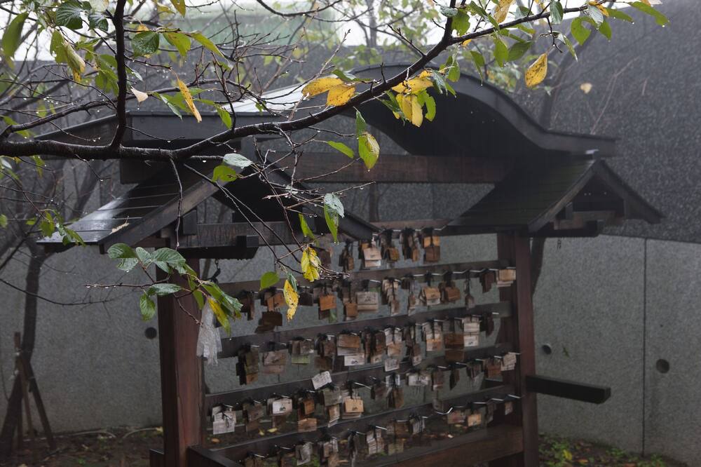 Photo of Outdoor in Jinshan