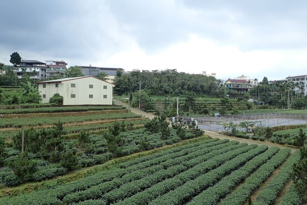 Photo of Bedroom in Lugu