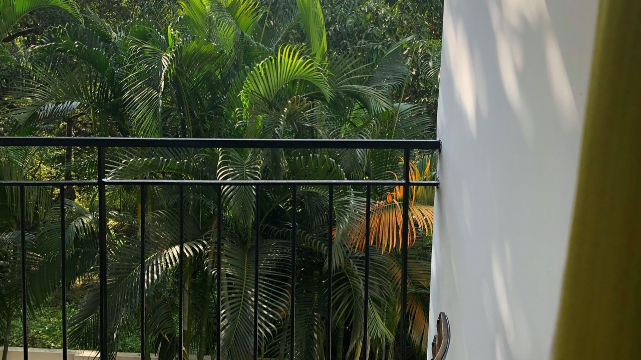 Photo of Outdoor in Siolim