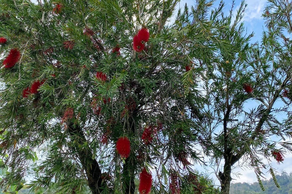 Photo of Outdoor in Guoxing