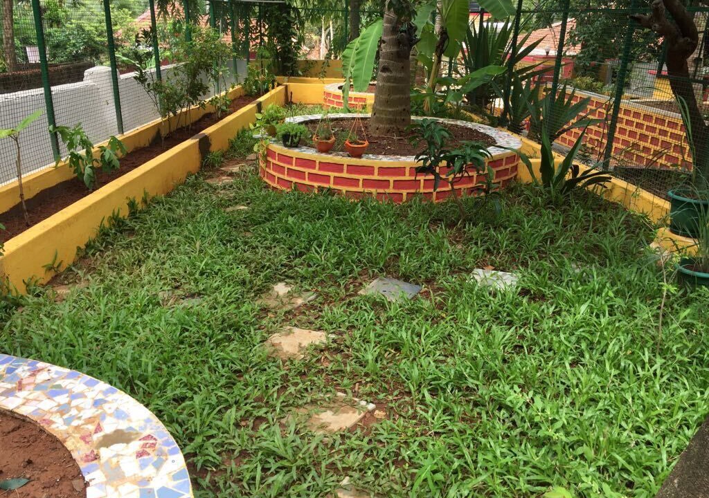 Photo of Outdoor in Shiroda
