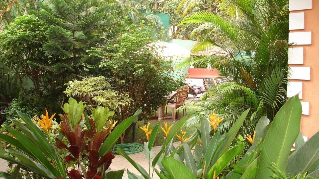 Photo of Outdoor in Mulgao