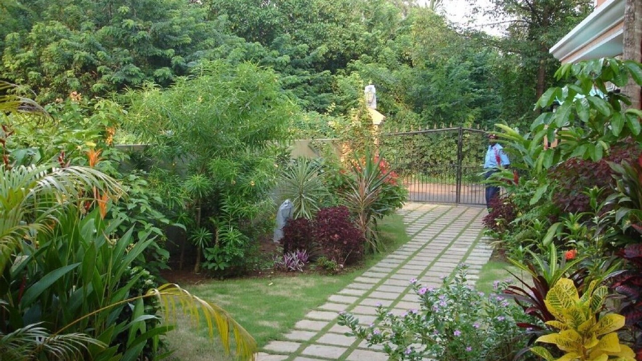 Photo of Outdoor in Mulgao