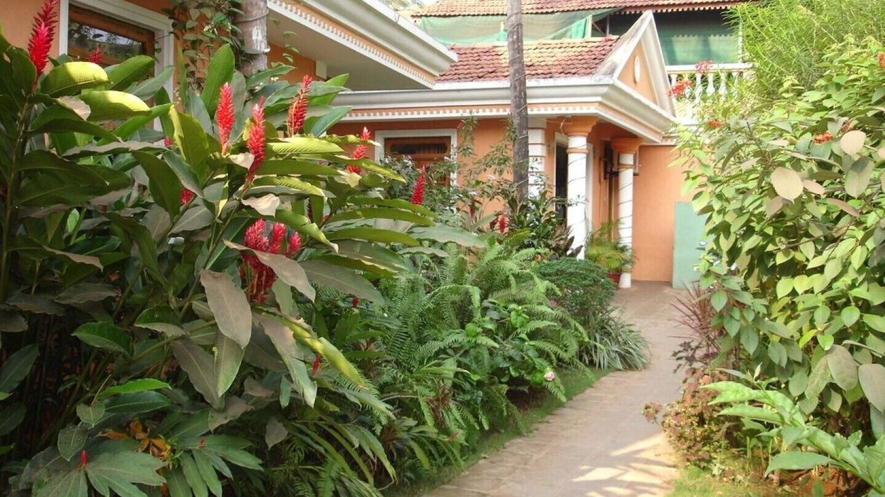 Photo of Outdoor in Mulgao