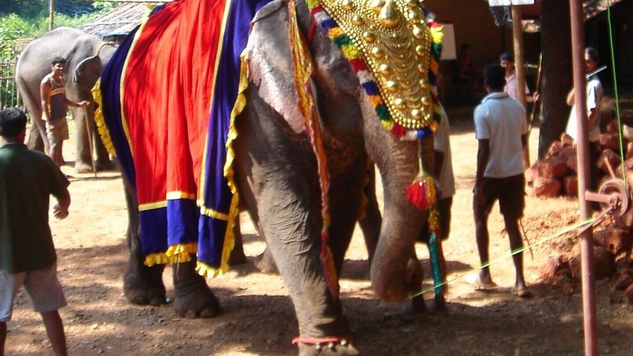 Photo of Others in Mulgao