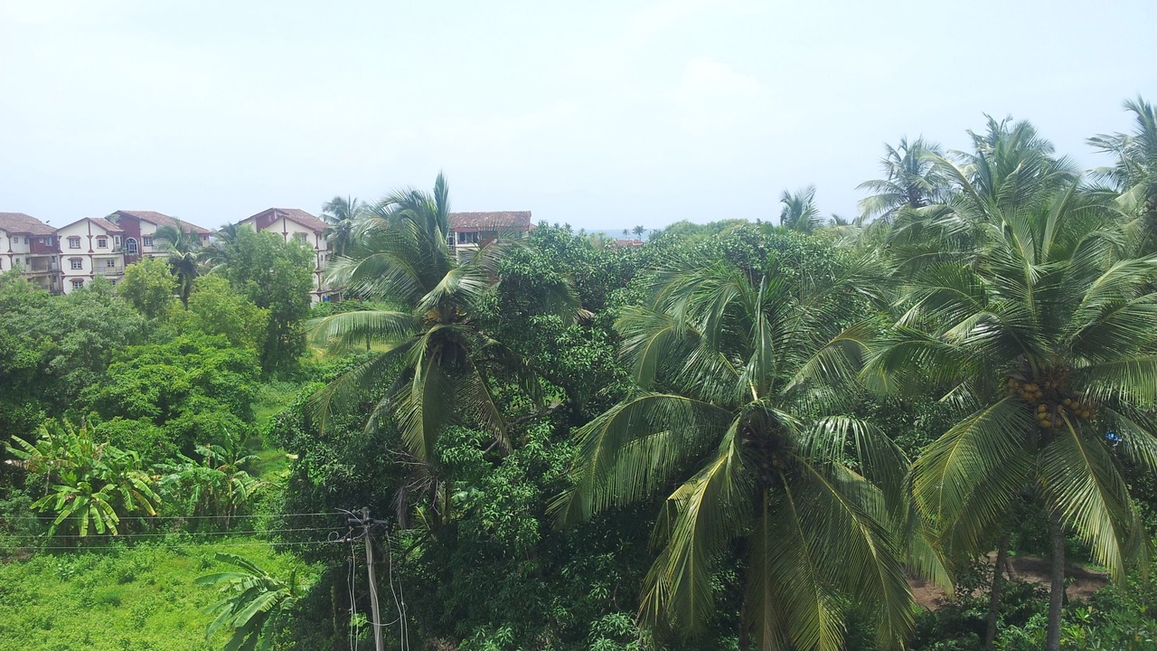 Photo of Outdoor in Fatrade