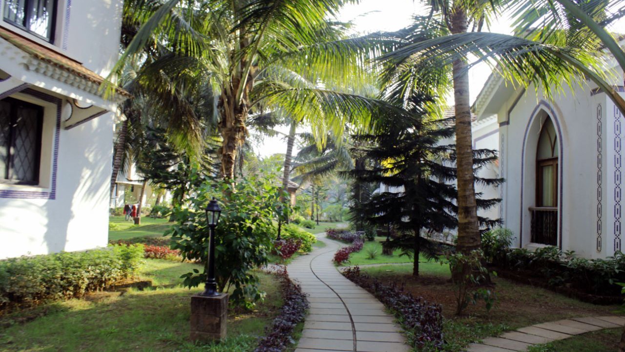 Photo of Outdoor in Anjuna