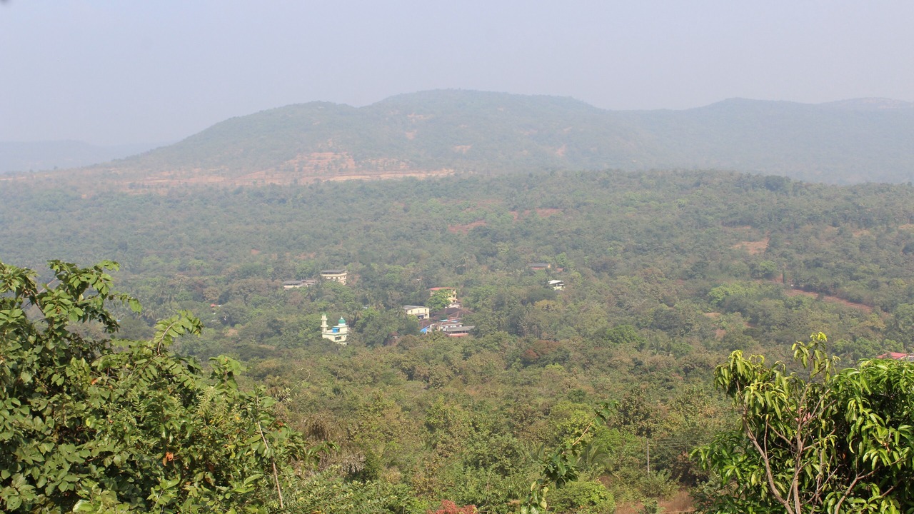Photo of Others in Dapoli