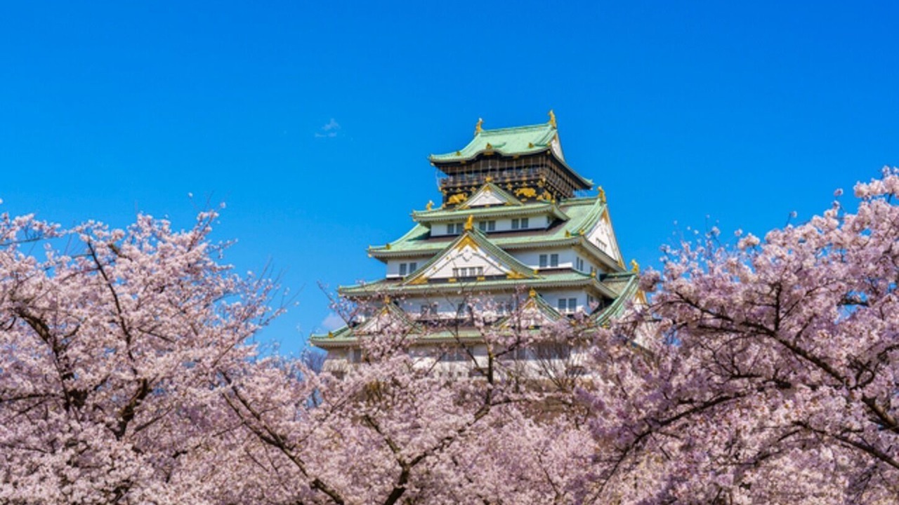 Photo of Others in Kyobashi