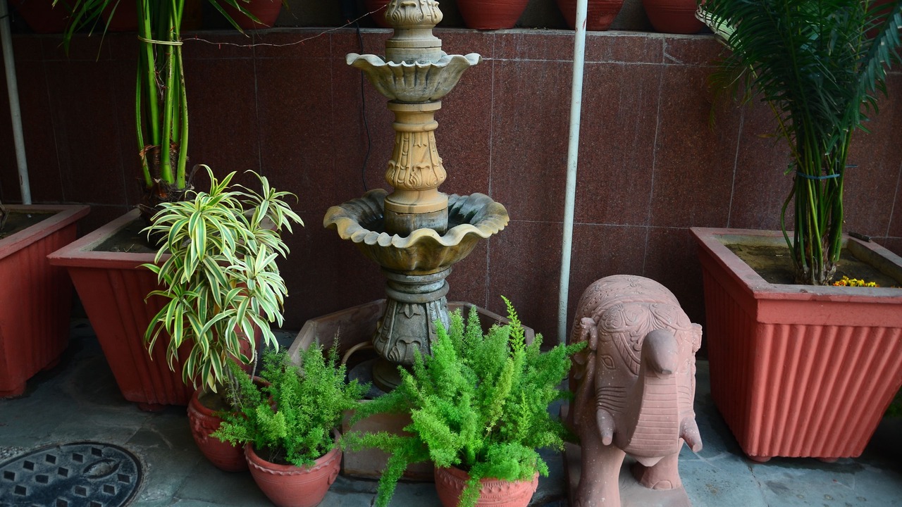 Photo of Outdoor in Gopalbari