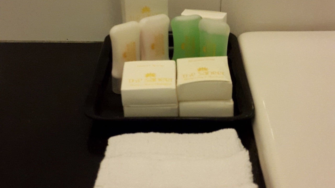 Photo of Bathroom in Durgapura