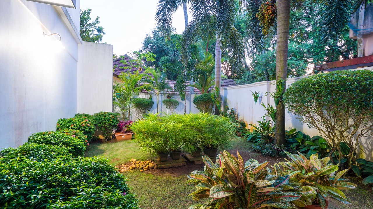 Photo of Outdoor in Fort Kochi
