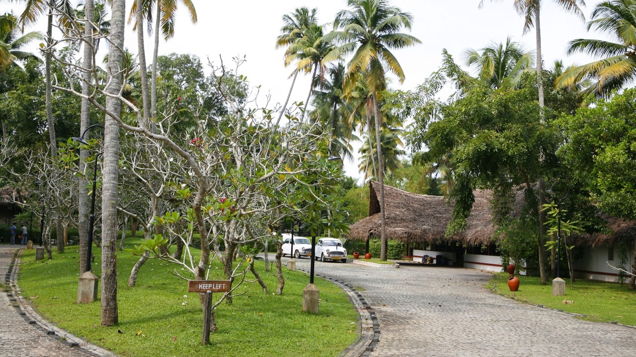 Photo of Others in Mararikulam