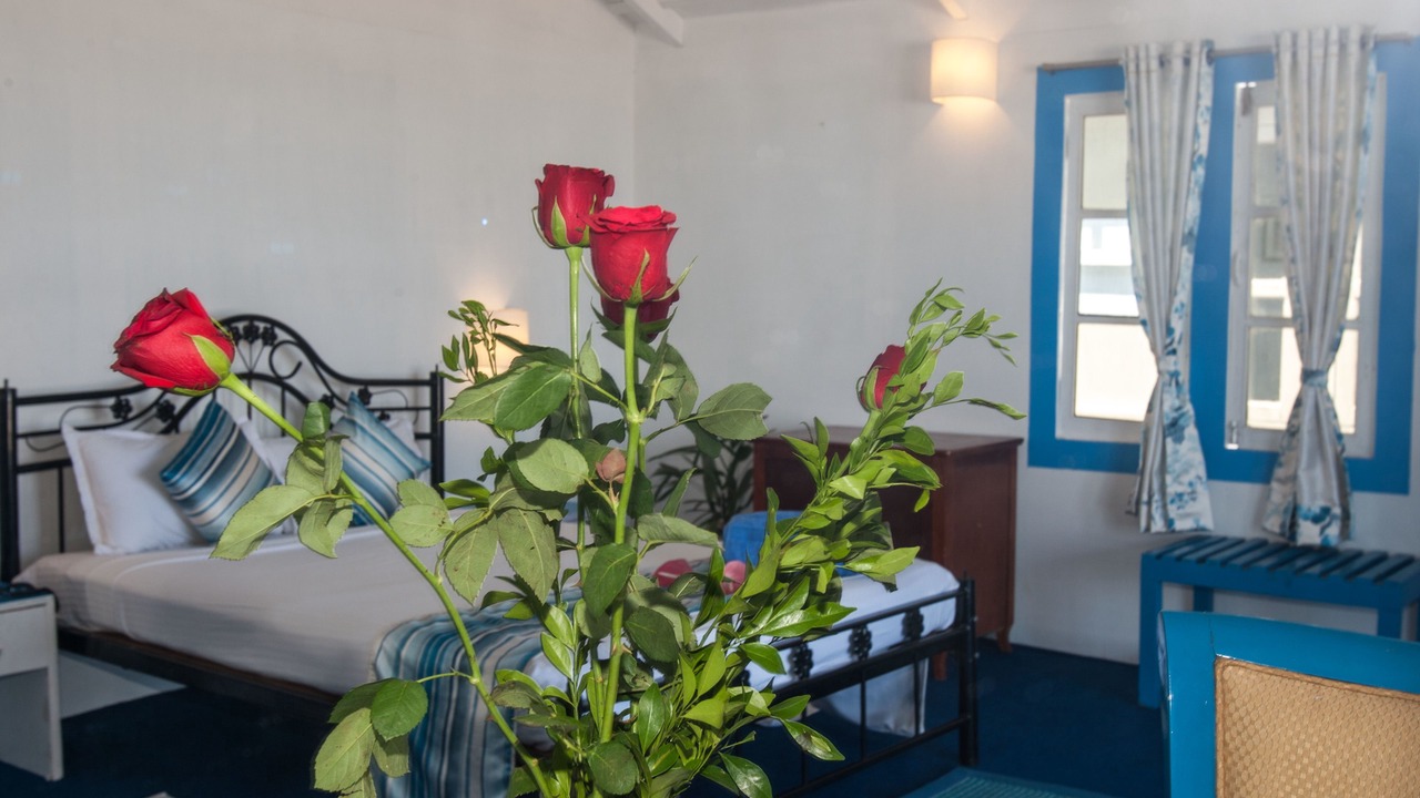 Photo of Bedroom in Agonda