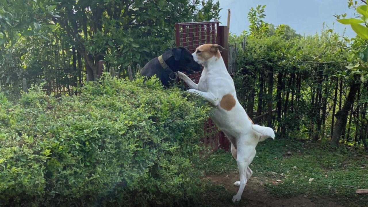 Photo of Others in Bhimtal